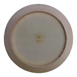 Daedalus Star (6)