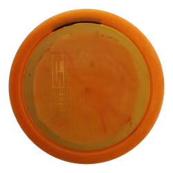 Eagle Champion (6)
