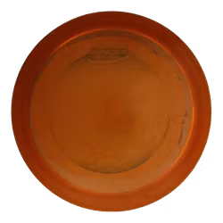Thunderbird Champion (6)