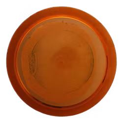 Thunderbird Champion (6)