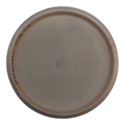 Roc3 Star (7)