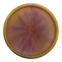 Artemis Alpha (6)