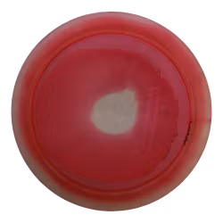 Rive Patent Pending Project Grip (7)