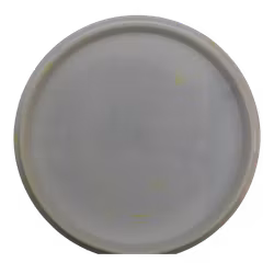 Fuse Ladies Disc 2018-2022 Gold (8)