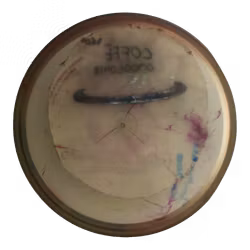 Rhyno PFN Champion (6)