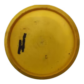 Caiman Star (5)