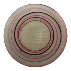 Eagle Champion (8)