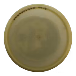 Crescent Falcon II Simon Lizotte Signature Series (MD4) Glow C-Line (8)
