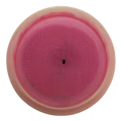 Hatchet 10 Year Anniversary VIP Ice Orbit (7)