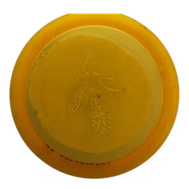 Shadowfax 400 (6)