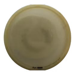 Svea K1 Glow 2022 (7)