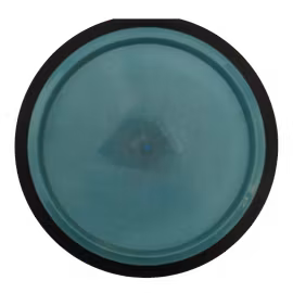 Photon Neutron (8)