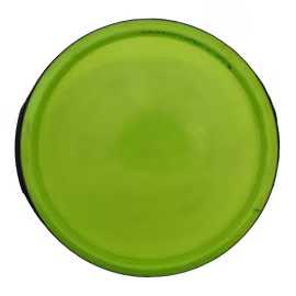 Servo Neutron (7)
