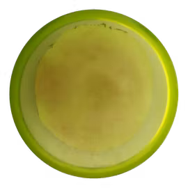 MD1 C-Line (6)