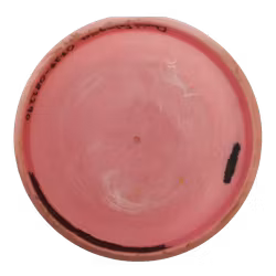 Praxis Aura (6)