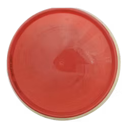 Paradox Special Edition Neutron (6)