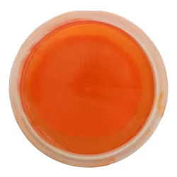 River Opto Ice Orbit (7)