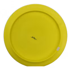 Xcaliber Nate Sexton Star (9)