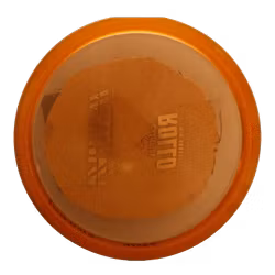 Rollo Champion (8)