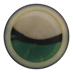Shryke Champion (6)