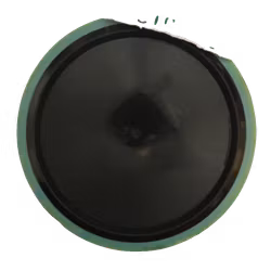 Virus Neutron (5)