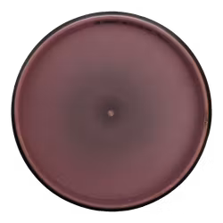 Entropy Electron Firm (6)