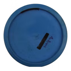 Leopard3 Star (6)