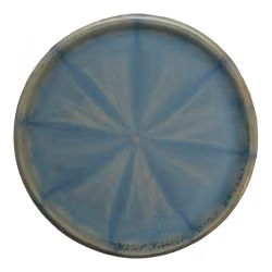Harp BT-Soft (5)