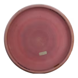 Luna Paul McBeth Six Claw ESP (6)