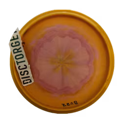Buzzz Julia Fors ESP (6)