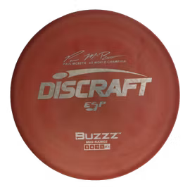 Buzzz ESP (7)