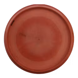 Buzzz ESP (7)