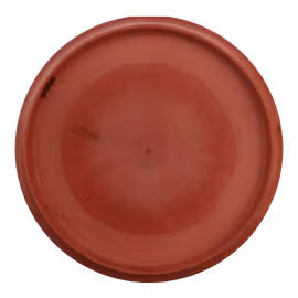Buzzz ESP (7)