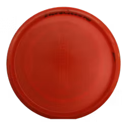Buzzz PFN Z (6)