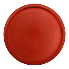Buzzz PFN Z (6)
