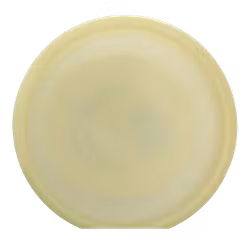 Svea K1 Glow 2023 (6)
