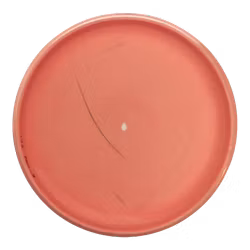 PA-1 300 (6)