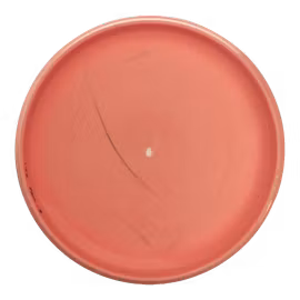 PA-1 300 (6)