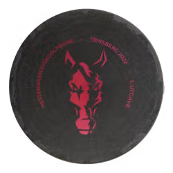 PA-3 300 (8)