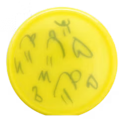 Compass Opto (6)