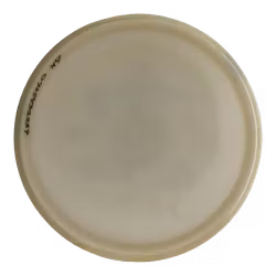Fuse JohnE McCray Signature Series Opto-X Glimmer (8)