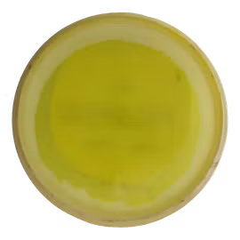 Pure Opto Ice Orbit (7)