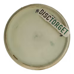 Buzzz OS ESP (6)