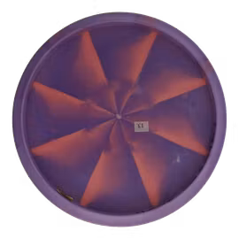 Fossil Prototype CT Swirl (7)
