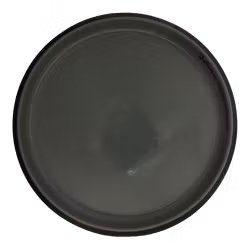 Spin Neutron (8)