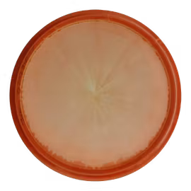 Roc3 Halo Star (8)