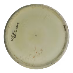 Zone Paul McBeth Six Claw ESP (6)