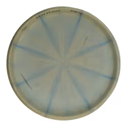 Dagger Tyyni 2018 Retro Burst Moonshine (6)