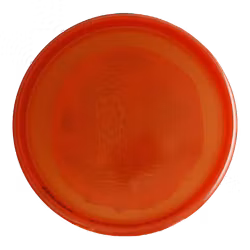 Slammer 2023 Team Series Lucid Ice (6)