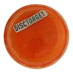 Judge Lucid Ice Orbit (6)